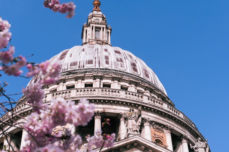 Pink blossoms framing a stone cathedral dome beneath a blue sky.