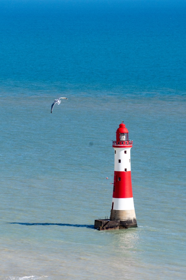 A gull flying above a red-and-white lighthouse surrounded by blue water.